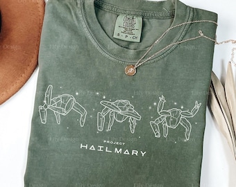 Camiseta minimalista con diseño lineal de Rocky, camiseta Project Hail Mary Comfort Colors, camiseta para fans de Amaze Rocky Grace