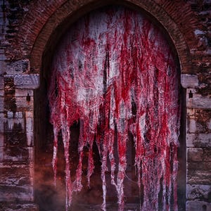 Peut inclure: Un rideau en tissu décoratif présentant une texture effilochée et usée, de couleur blanche avec des éclaboussures rouge vif. Le matériau pend en longues bandes verticales inégales dans une arche en pierre, créant un aspect déchiqueté.