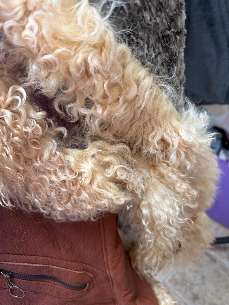 May include: A rust-coloured jacket featuring a prominent, thick, curly light blonde faux fur collar. The jacket is made of a textured material and includes a visible horizontal zippered pocket with a metal pull on the lower front section.