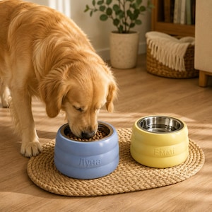 May include: A golden retriever eats from a light blue ceramic bowl with the Cyrillic text "Луна" embossed on the side. Next to it sits a yellow ceramic bowl with the text "Emmi" embossed on the side. Both bowls have stainless steel inserts.