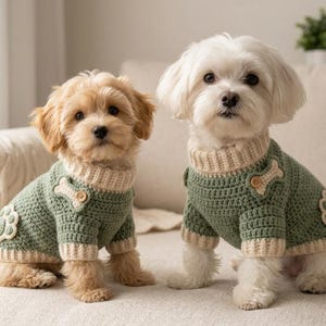May include: Two small dogs wearing matching sage green crochet sweaters with cream-colored ribbed collars and cuffs. Each sweater features a small beige bone-shaped patch on the chest and a larger paw print applique on the side.