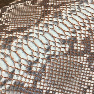 May include: A close-up view of a textured snakeskin material featuring a repeating pattern of overlapping scales in shades of white, gray, and dark brown. The surface displays a natural gradient with larger scales transitioning into smaller ones. The text Best Exotic Tannery is visible in the bottom left corner.