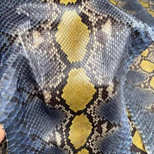 Genuine Python Skin for Handcrafting | Indigo Blue & Yellow Reptile Skin Ideal for Shoemakers
