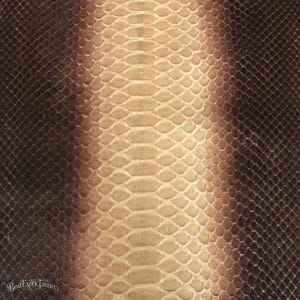Golden Caramel Mocha Snake Skin, Real Reptile Skin for Handmade Craft