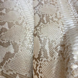 Piel de pitón reticulada auténtica con corte en el lomo / Piel de serpiente exótica natural beige sin blanquear / Piel de pitón de primera calidad para bolsos y artesanías