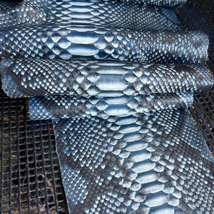 Midnight Sapphire Blue Snake Leather | for Artisan Supplies Reptile Leather Ideal for Boutiques