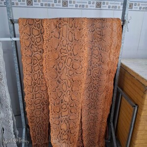 May include: A large, rectangular piece of tanned snakeskin leather featuring a repeating brown and tan diamond-shaped scale pattern. The hide is draped over a metal rack, displaying a textured surface with the text Best Exotic Tannery.