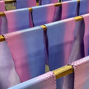 Könnte beinhalten: Mehrere Schlangenlederhäute, die über hölzerne Trockengestelle drapiert sind. Die Häute weisen ein Farbverlaufsmuster von zartem Rosa zu hellem Violett auf und zeigen eine ausgeprägte, texturierte Schuppenstruktur auf der gesamten Oberfläche.