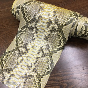 Ivory Yellow Charcoal Python Skin for Handcrafting, Genuine Reptile Leather Ideal for Shoemakers