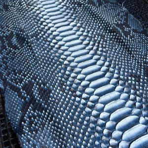Piel de pitón reticulada auténtica con corte en el lomo / Piel de serpiente exótica azul sin blanquear / Piel de pitón de primera calidad para bolsos y artesanías
