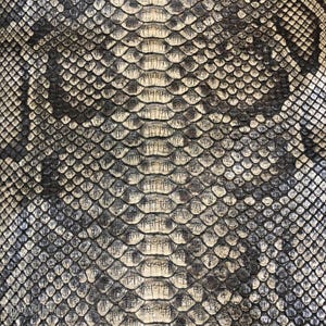 May include: A close-up view of a textured snake skin pattern featuring a repeating arrangement of overlapping scales in shades of beige, tan, and dark charcoal gray. The surface displays a natural, organic scale structure with fine lines.