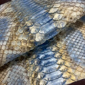 Antique Blue Gold Reticulated Snake Leather, Real Exotic Leather for Artisan Supplies
