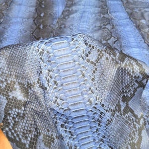 Reticulated Python Skin for Craftsman Project, Smoky Blue Taupe Genuine Exotic Skin
