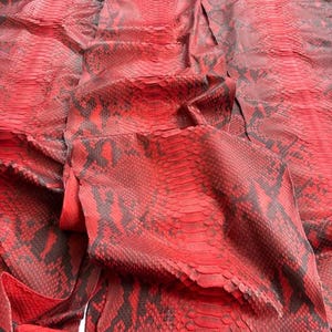 Piel de pitón reticulada auténtica con corte en el lomo / Piel de serpiente exótica roja sin blanquear / Piel de pitón de primera calidad para bolsos y artesanías