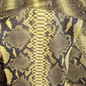 Yellow Python Skin, Real Reptile Skin for Handcrafting