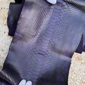 Piel de pitón reticulada auténtica con corte en el lomo / Piel de serpiente exótica sin blanquear de color morado oscuro / Piel de pitón de primera calidad para bolsos y artesanías
