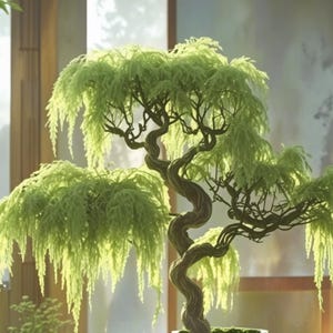May include: A bonsai tree with a twisted, textured brown trunk and cascading, bright green foliage. The tree features multiple layered branches that extend outward, creating a dense, weeping canopy of fine, needle-like leaves in a vibrant shade of green.