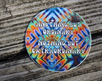 Anything But Ordinary Nothing but Extraordinary Funky Sunshine Vinyl Sticker