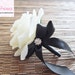 Boutonniere, Ivory Rose boutonniere with black ribbon, Groomsman Gifts, Lapel, Pin on corsage, Christmas Gifts, Prom accessories, BLACK, 