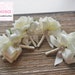 Men's Boutonniere, Ivory Rose with Ivory ribbon, Groomsman Gifts, Silk Flower Corsage, Wedding Flowers, Boutonniere, Lapel Pin, Accessories 