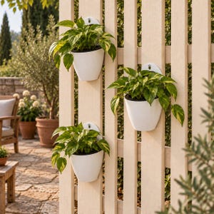 Puede incluir: Tres macetas de pared blancas en forma de semicírculo están fijadas a una valla de celosía de madera clara. Cada maceta contiene una planta pothos variegada de color verde y amarillo con hojas en forma de corazón, creando un jardín vertical.