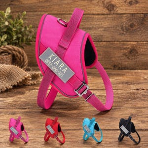 May include: A bright pink dog harness featuring a reflective rectangular patch with the text KIARA and the number 0987-666-321. The harness includes adjustable woven straps, a metal D-ring, and a silver-toned buckle on a durable fabric construction.