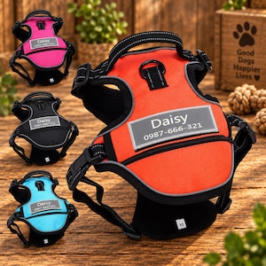 May include: A collection of four dog harnesses in orange, pink, black, and blue. Each harness features a top handle, a metal D-ring, adjustable black straps, and a reflective rectangular patch displaying the text Daisy and 0987-666-321.