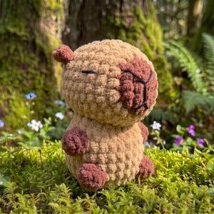 Capybara Crochet Pattern, Amigurumi Capybara Plushie Tutorial, No Sew Project Guide PDF (digital nedladdning)