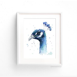 May include: Watercolor painting of a blue peacock with a white background. The peacock's head is turned to the side, and its feathers are spread out behind it.