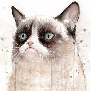 Impression d'art aquarelle chat grincheux, Meme Decor
