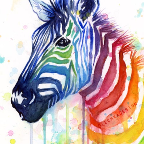 Zebra print Rainbow colour painting art Canvas large 20" x 20" Australia 