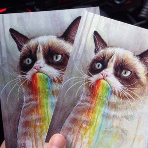 Lustige Katzenpostkarten Mürrische Katzenkarten Regenbogen Aquarell Katzenmalerei Geek Meme Postkarten Wunderliche Tierkarten Lustige Malerei Karten