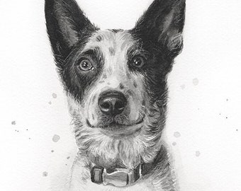 Australian Cattle Dog Art Print, Dog Portrait, Watercolor Painting