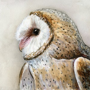 May include: A watercolor painting of a barn owl with brown and white feathers. The owl is looking to the left and has a pink beak. The background is a light beige.