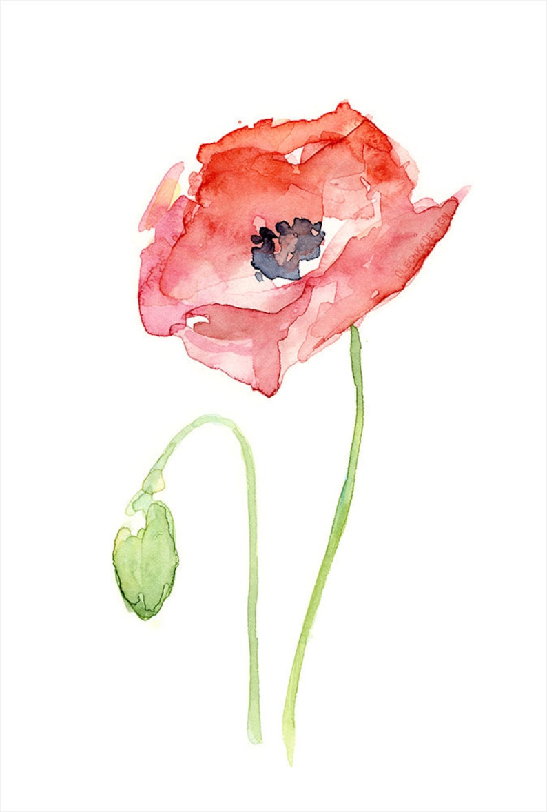 Poppy Wall Art, Poppy Print, Red Poppy Watercolor, Red Poppy Flower, Abstract Art Print of Watercolor Painting, Plants, Nature, Poppies image 2