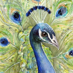 May include: Watercolor painting of a peacock with its feathers spread out. The peacock's head is turned to the side, and its eye is visible. The feathers are a mix of green, blue, and yellow.