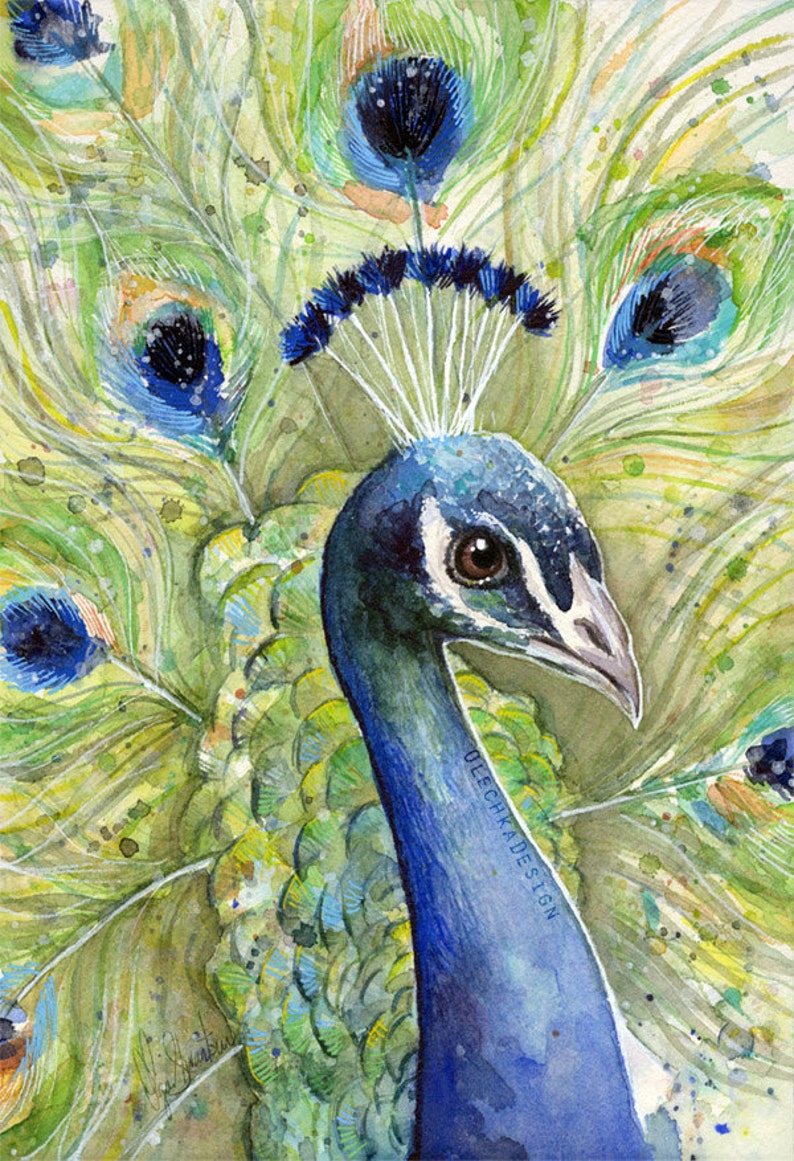 May include: Watercolor painting of a peacock with its feathers spread out. The peacock's head is turned to the side, and its eye is visible. The feathers are a mix of green, blue, and yellow.