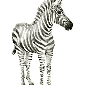 May include: A black and white watercolor painting of a zebra standing on a white background. The zebra is facing to the right and has a long mane.