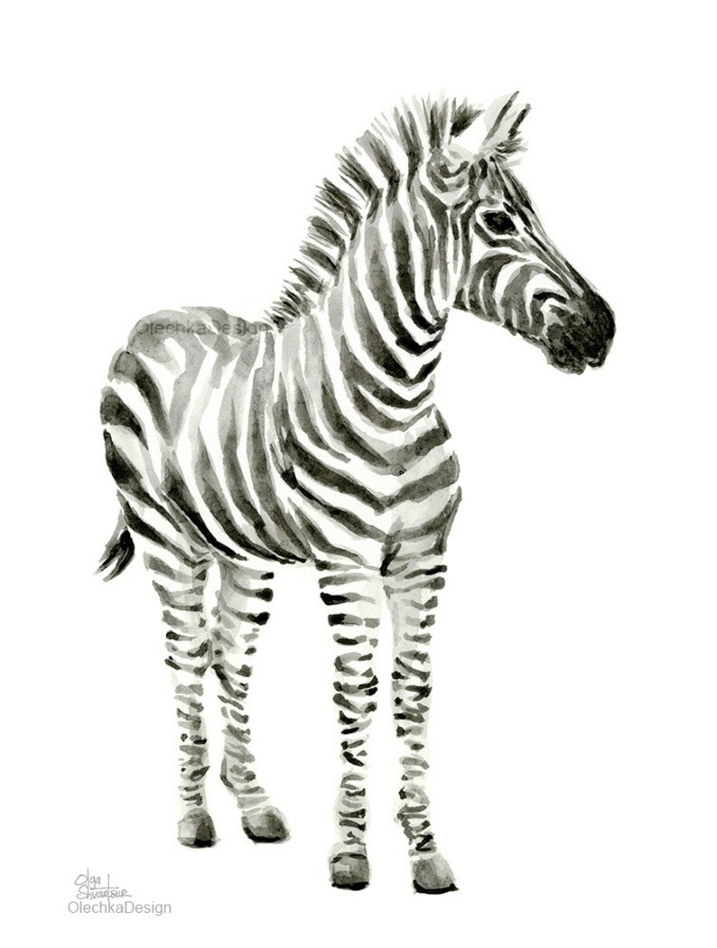May include: A black and white watercolor painting of a zebra standing on a white background. The zebra is facing to the right and has a long mane.