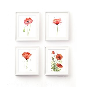 May include: Set of four watercolor paintings featuring red poppies in various arrangements. The paintings are framed in white frames and displayed on a white wall.
