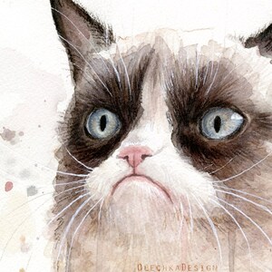 May include: A watercolor painting of a grumpy-looking cat with brown and white fur. The cat has large, blue eyes and a pink nose. The cat's expression is one of annoyance or disapproval.