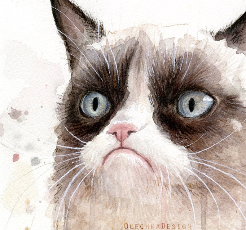 May include: A watercolor painting of a grumpy-looking cat with brown and white fur. The cat has large, blue eyes and a pink nose. The cat's expression is one of annoyance or disapproval.