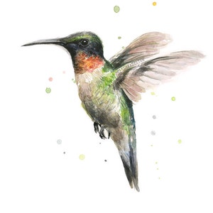 Hummingbird Watercolor Art Print Ruby-Throated Hummingbird Painting, Hummingbird Art, Hummingbird Print, Animal Painting, Illustration