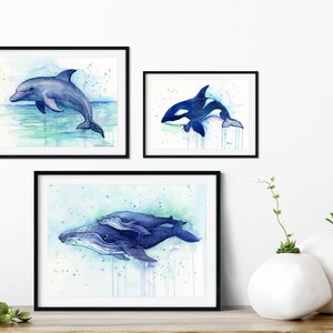 May include: Three watercolor paintings of marine animals in black frames. The top left painting shows a dolphin jumping out of the water. The top right painting shows an orca swimming. The bottom painting shows a humpback whale and calf swimming.