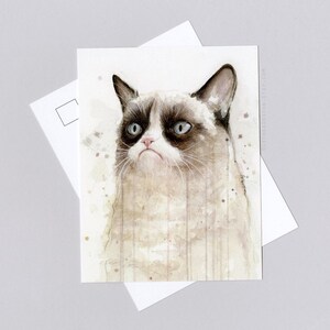 Grumpy acuarela gato Meme postal - gato gruñón, arte de acuarela, geek, divertido