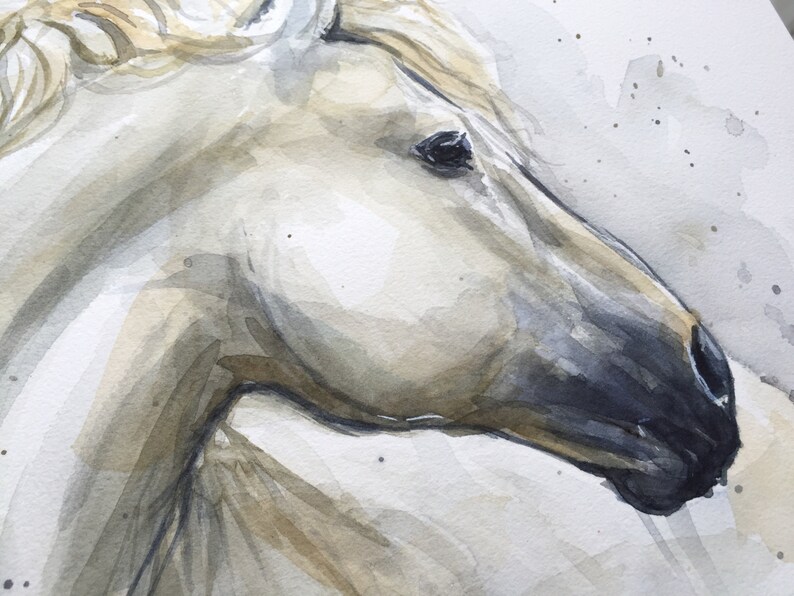 Peinture d'aquarelle de cheval blanc, oeuvre originale, art animal d'aquarelle, peinture de cheval, portrait de cheval, illustration de cheval, 9x12 image 3