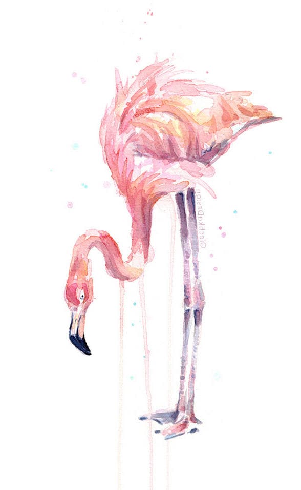 油彩画　フラミンゴ Amazon | フラミンゴの水彩画 数字油絵 超リアルな動物イラスト