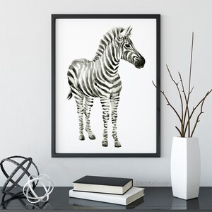 May include: Black and white watercolor painting of a zebra foal standing on a white background. The zebra has black stripes and a white muzzle.
