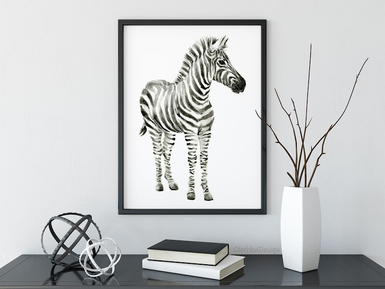 May include: Black and white watercolor painting of a zebra foal standing on a white background. The zebra has black stripes and a white muzzle.