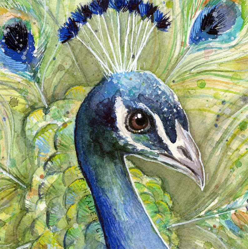 May include: A close-up watercolor painting of a peacock's head and neck. The peacock has blue and green feathers with a white stripe on its face. The background is a blur of green and yellow feathers.